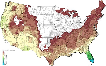 2tax25_Epiphytes.png 2tax25_Epiphytes.png